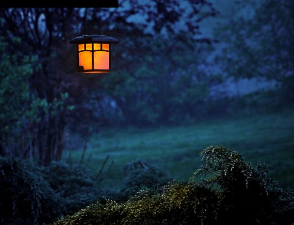 Licht in donkere tuin