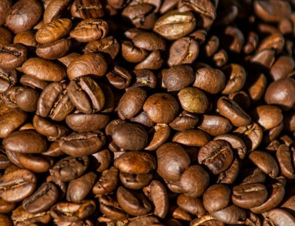 Koffie